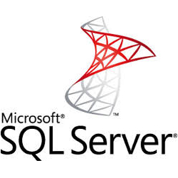 Microsoft SQL Server asp.net Programming for Rogers AR